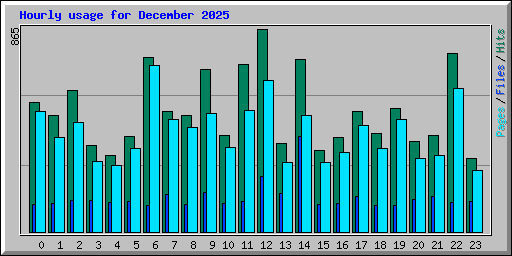 Hourly usage for December 2025