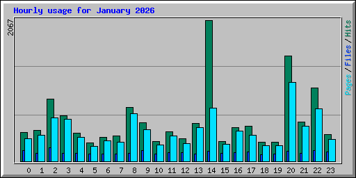 Hourly usage for January 2026