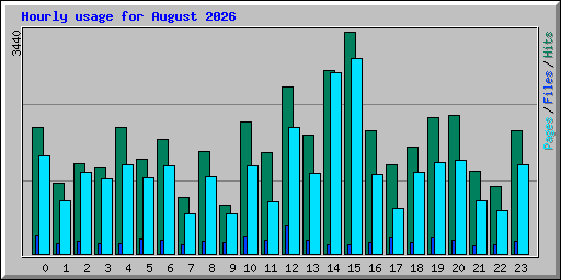 Hourly usage for August 2026